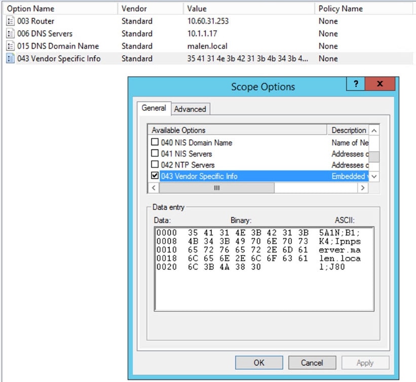 A sample DHCP pool option on a Windows Server.